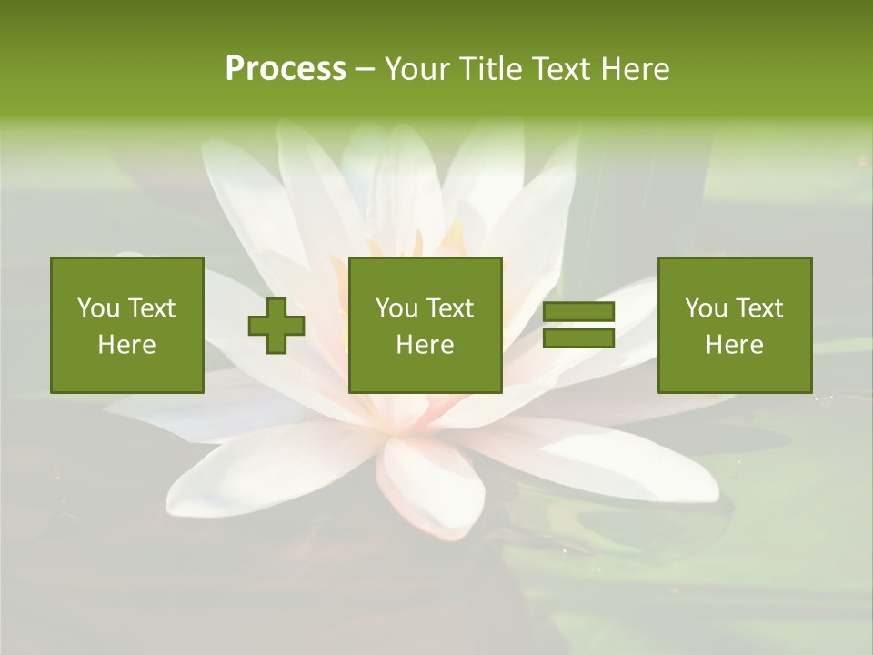 White Water Lily PowerPoint Template