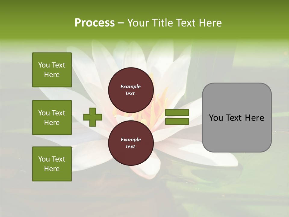 White Water Lily PowerPoint Template
