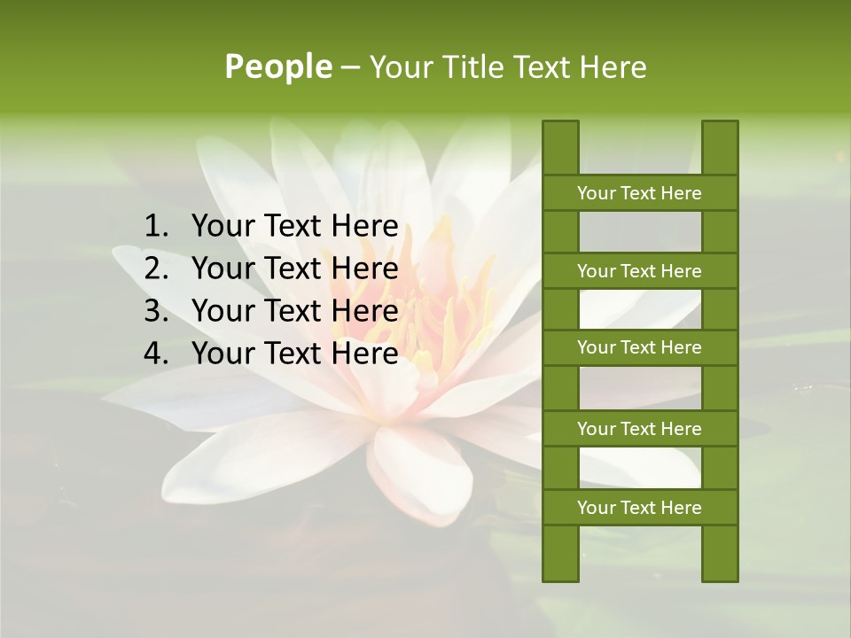 White Water Lily PowerPoint Template