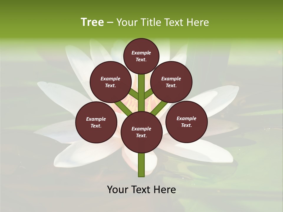 White Water Lily PowerPoint Template