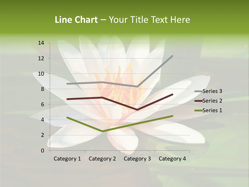 White Water Lily PowerPoint Template