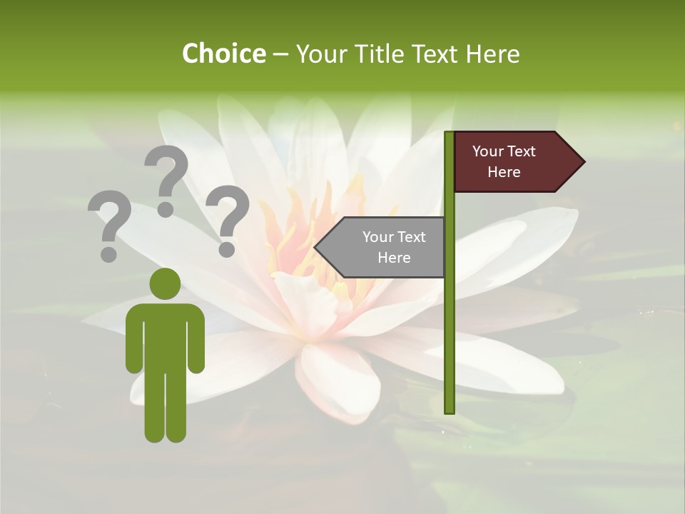 White Water Lily PowerPoint Template