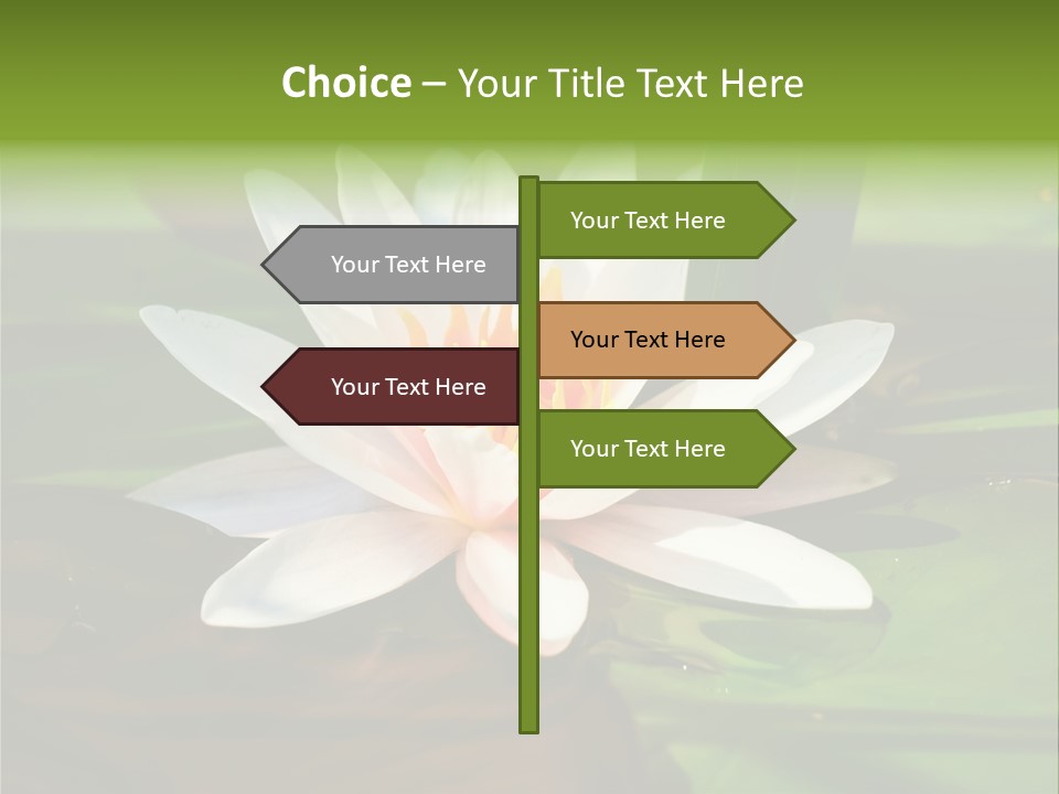 White Water Lily PowerPoint Template