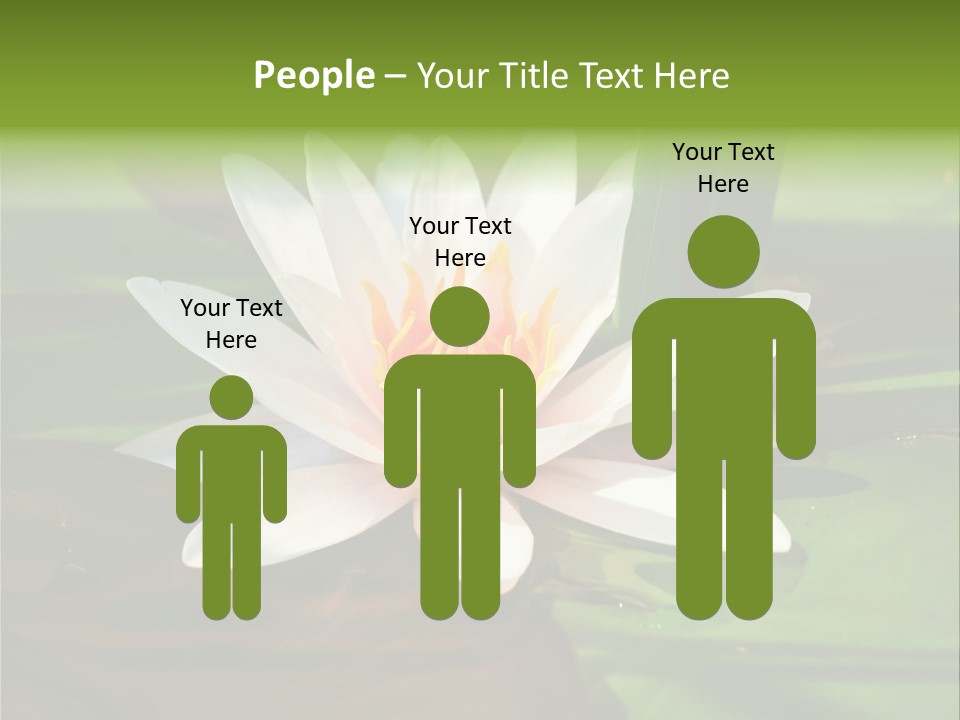 White Water Lily PowerPoint Template