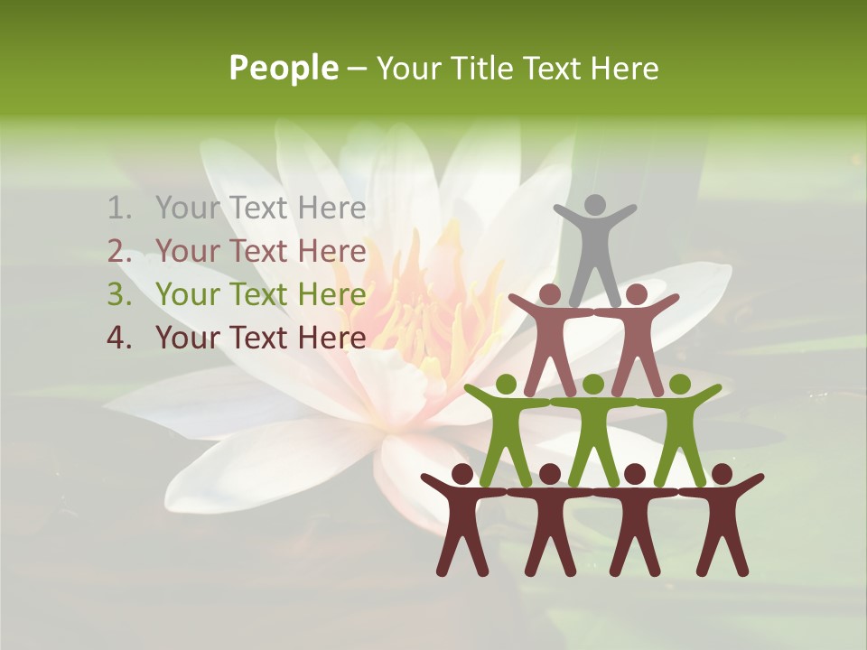 White Water Lily PowerPoint Template