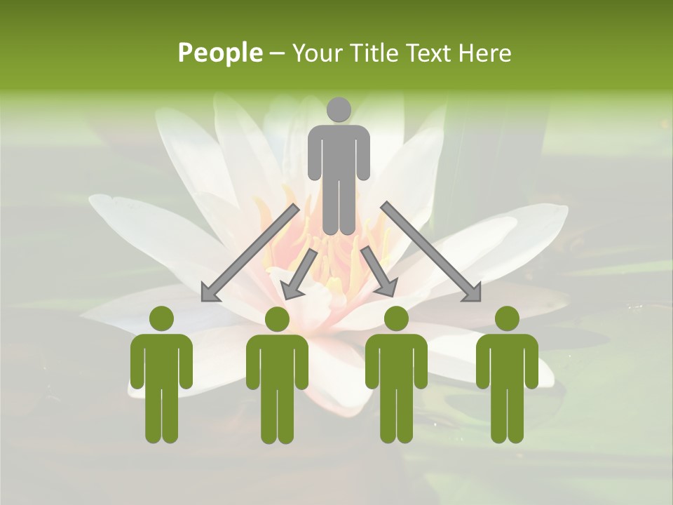 White Water Lily PowerPoint Template