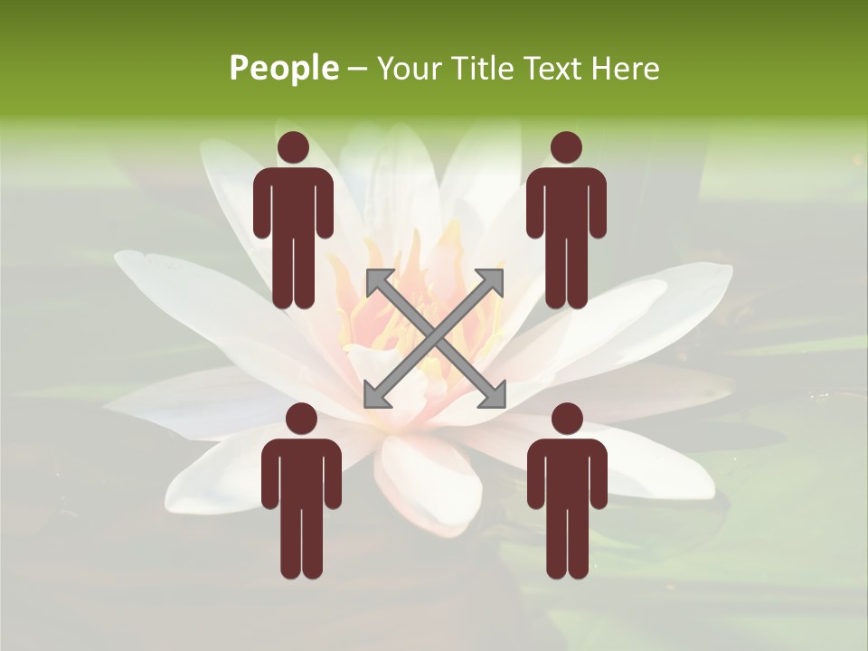 White Water Lily PowerPoint Template
