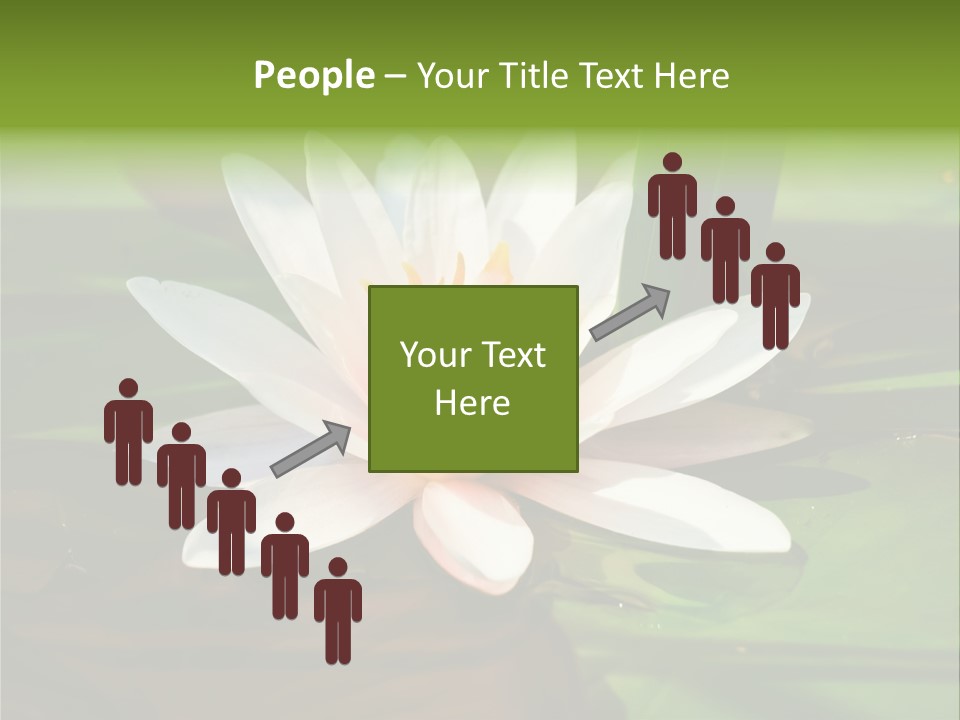 White Water Lily PowerPoint Template