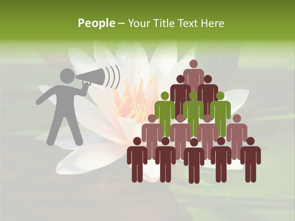 White Water Lily PowerPoint Template