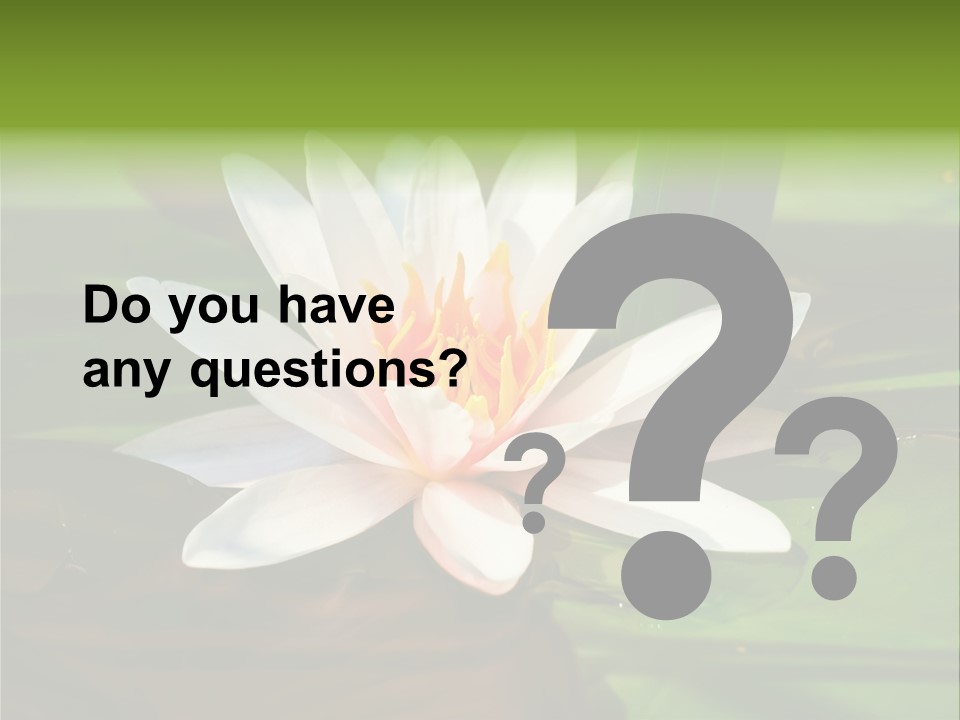 White Water Lily PowerPoint Template