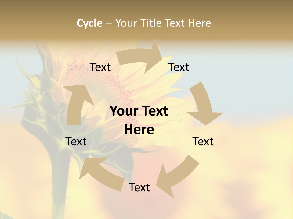 Sunflower PowerPoint Template