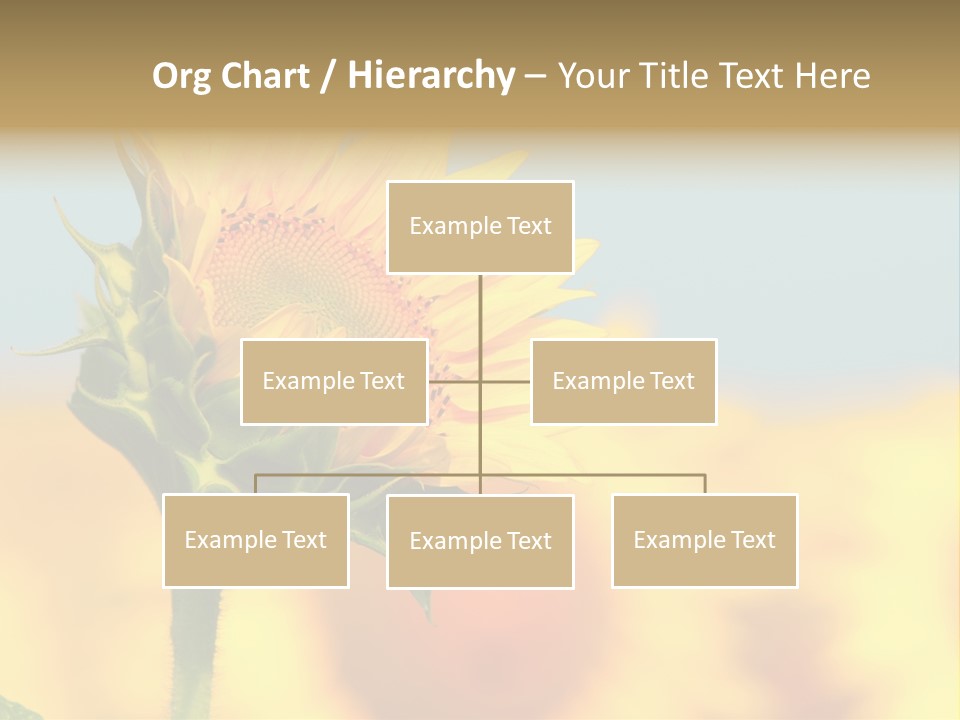Sunflower PowerPoint Template