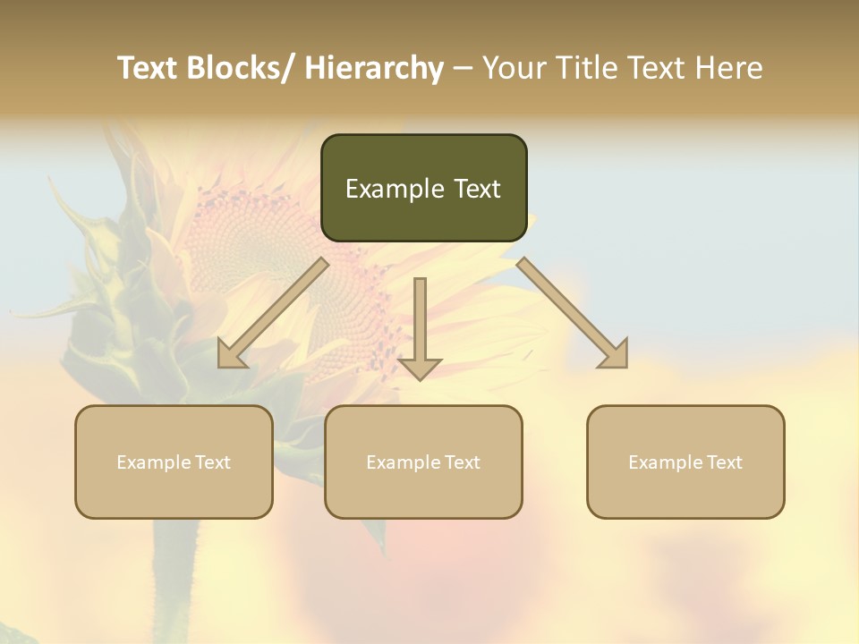 Sunflower PowerPoint Template