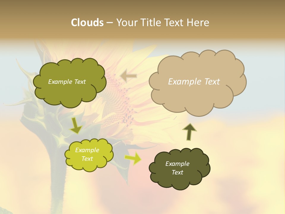 Sunflower PowerPoint Template