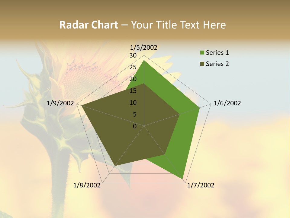 Sunflower PowerPoint Template