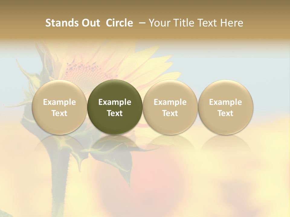 Sunflower PowerPoint Template