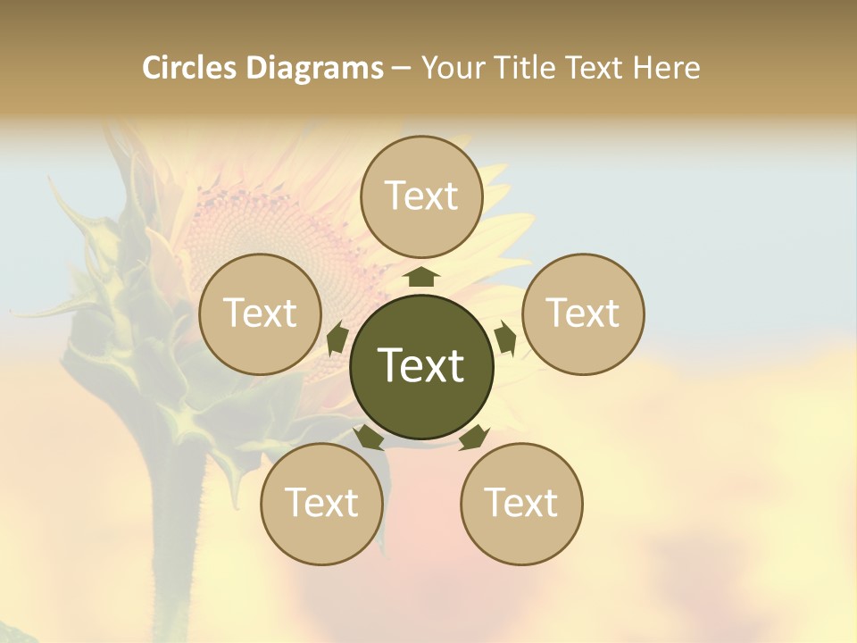Sunflower PowerPoint Template