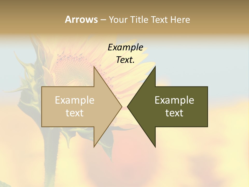 Sunflower PowerPoint Template