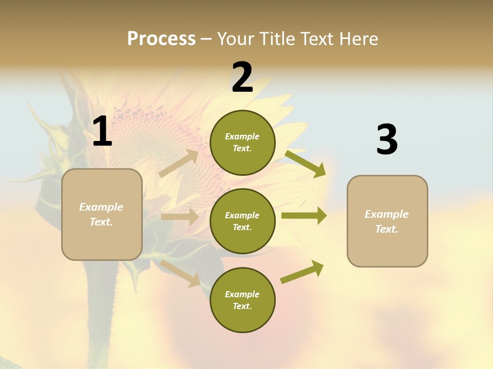 Sunflower PowerPoint Template