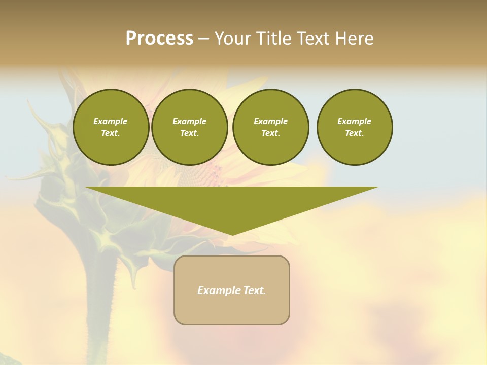 Sunflower PowerPoint Template