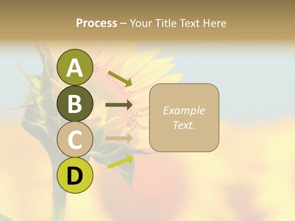 Sunflower PowerPoint Template