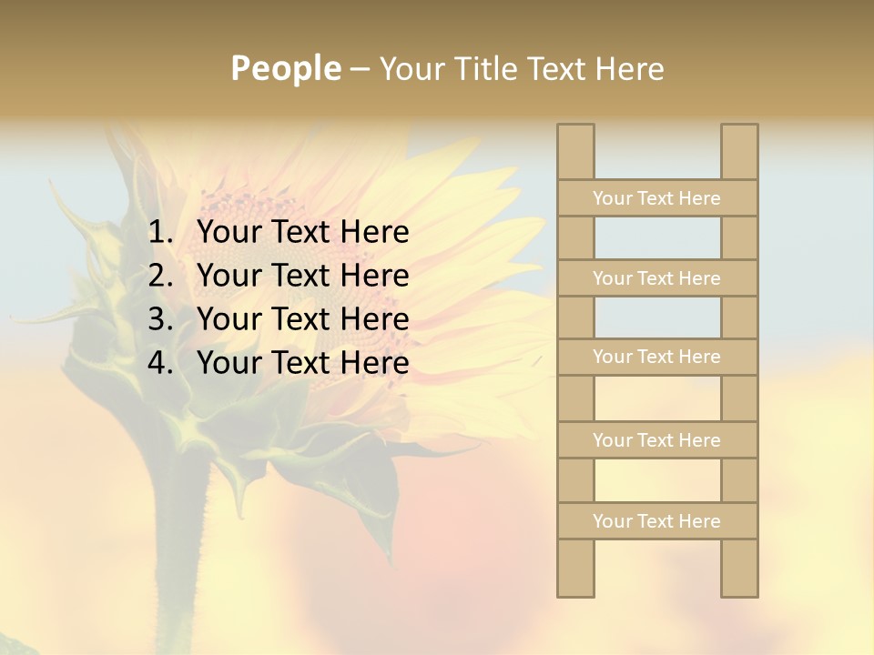 Sunflower PowerPoint Template
