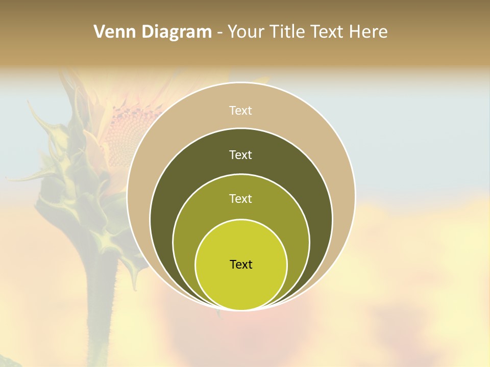 Sunflower PowerPoint Template