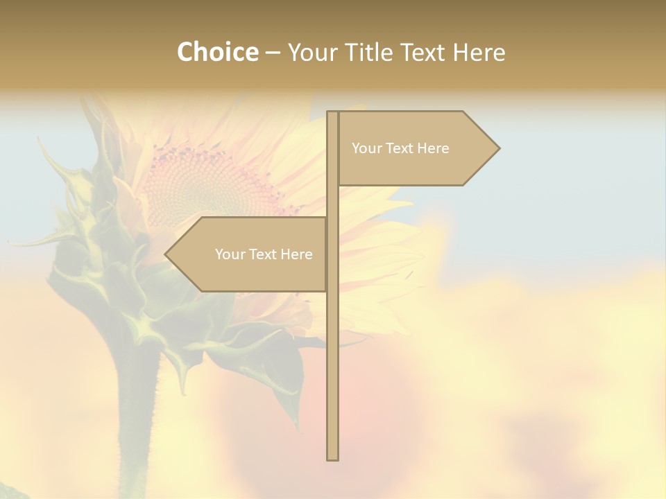 Sunflower PowerPoint Template
