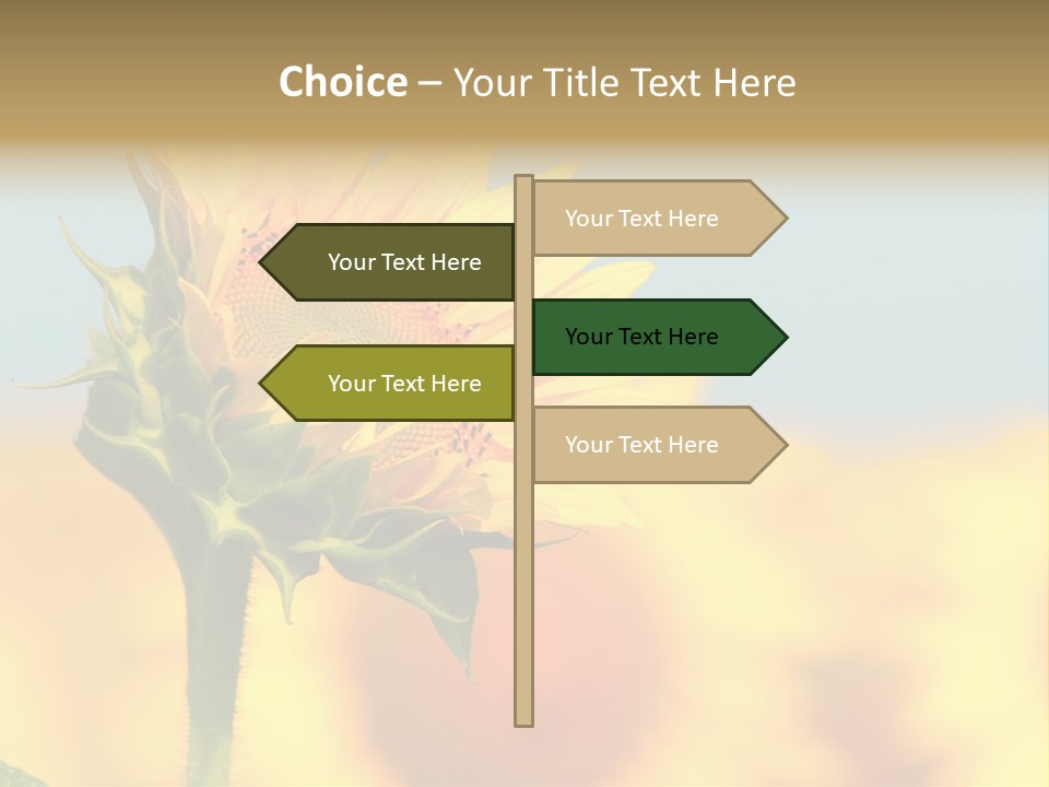 Sunflower PowerPoint Template