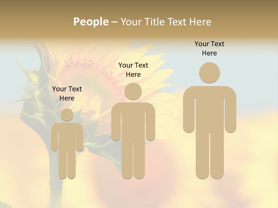 Sunflower PowerPoint Template