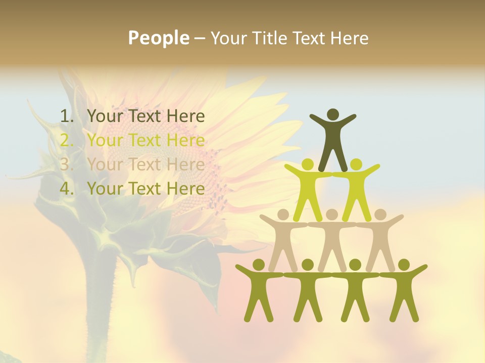 Sunflower PowerPoint Template