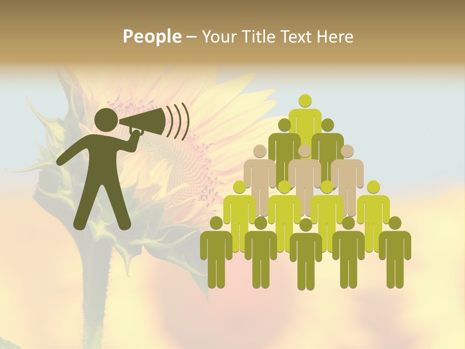 Sunflower PowerPoint Template