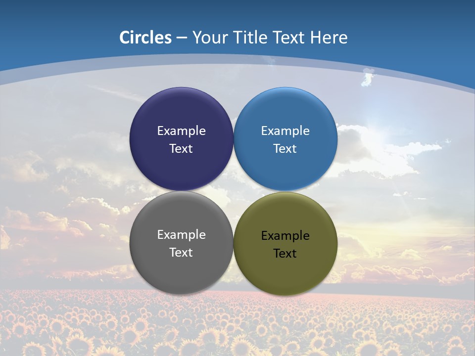 Sun Flowers PowerPoint Template