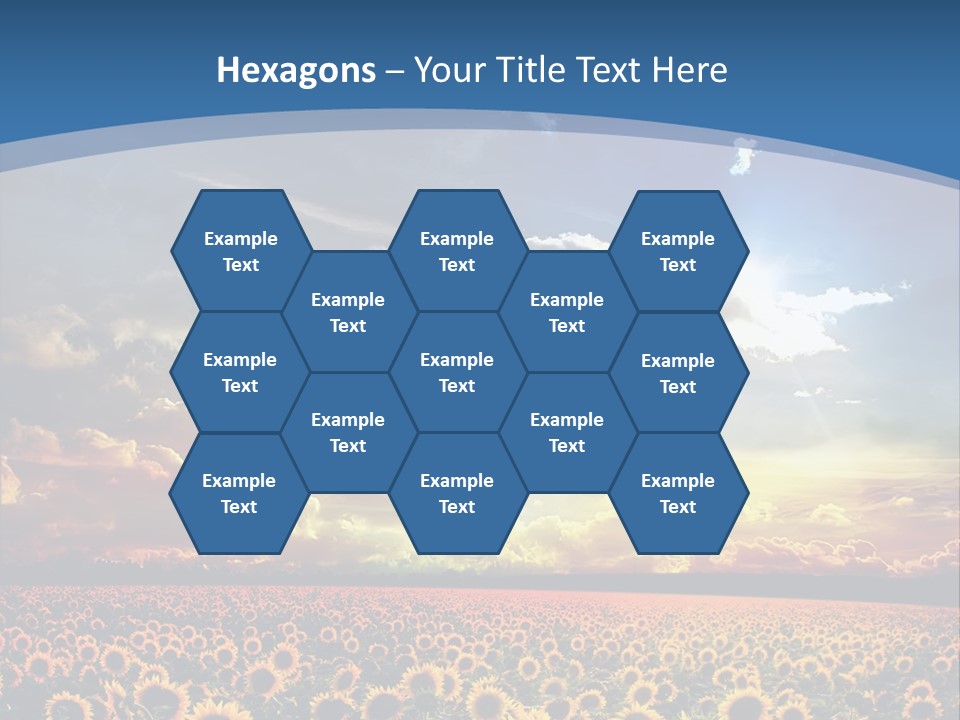 Sun Flowers PowerPoint Template