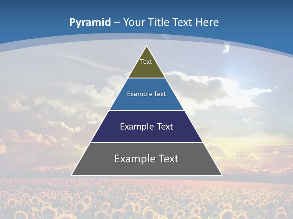 Sun Flowers PowerPoint Template