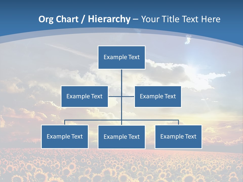 Sun Flowers PowerPoint Template