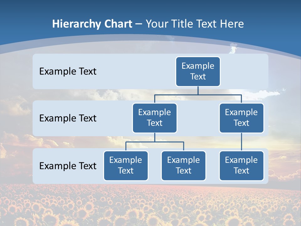 Sun Flowers PowerPoint Template