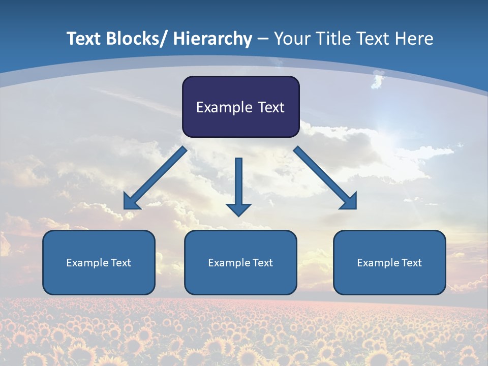 Sun Flowers PowerPoint Template
