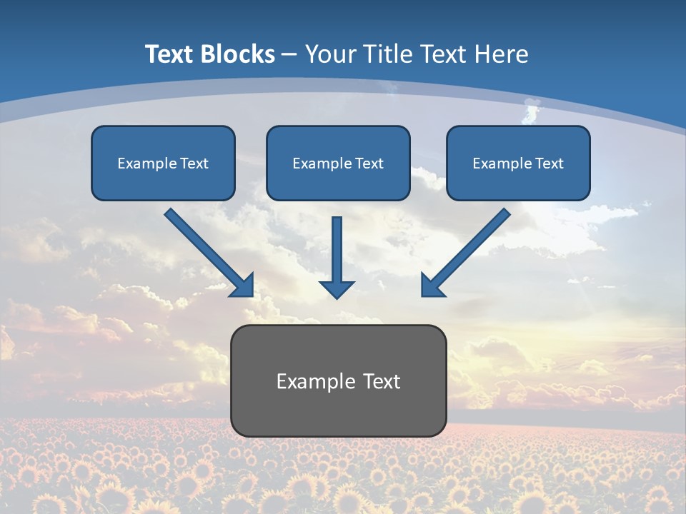 Sun Flowers PowerPoint Template