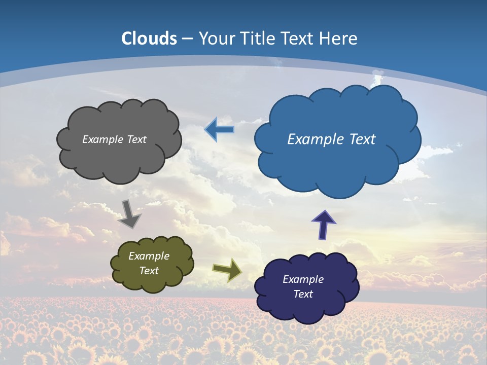 Sun Flowers PowerPoint Template