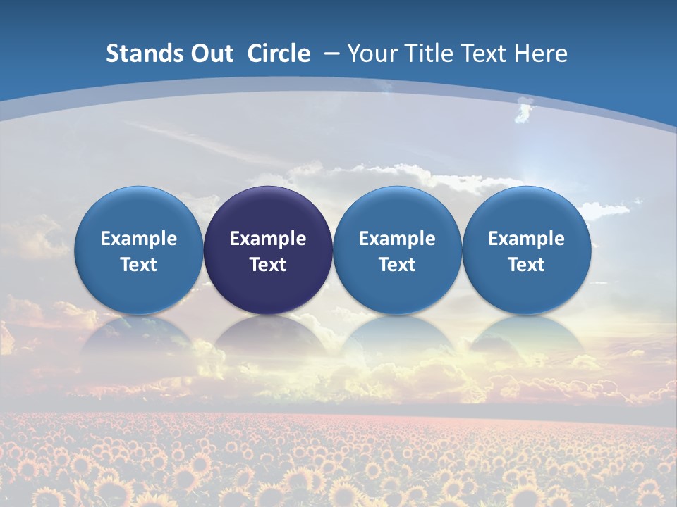 Sun Flowers PowerPoint Template