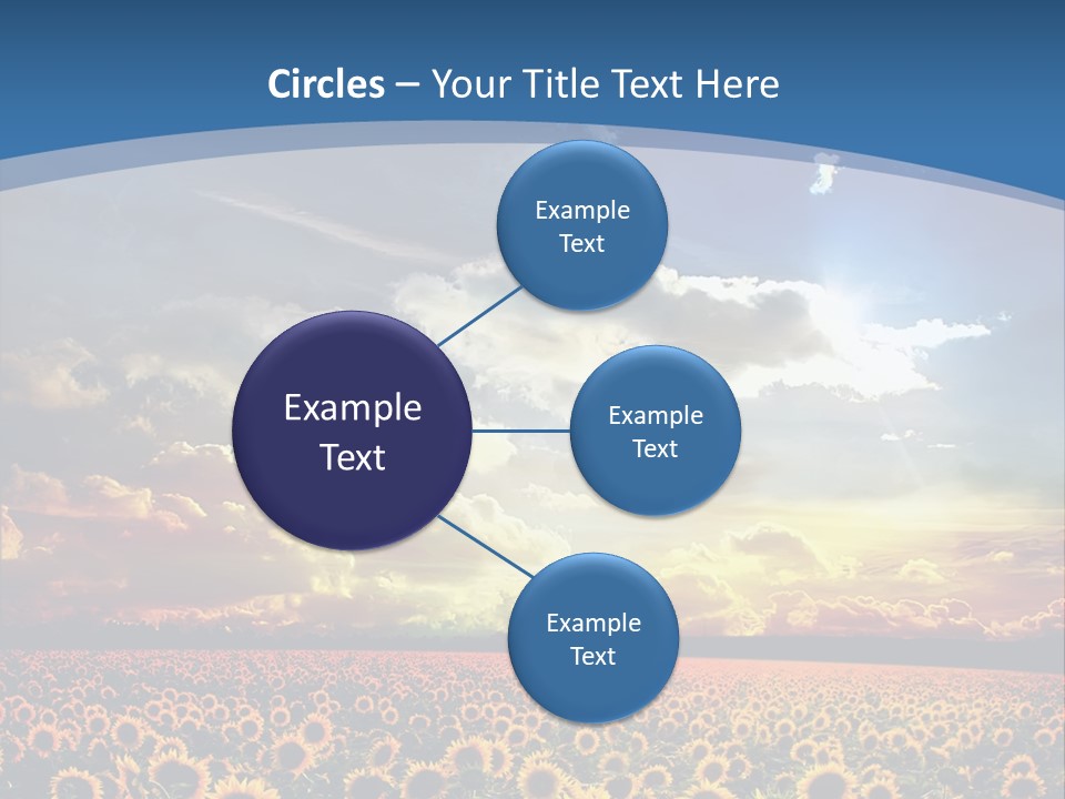 Sun Flowers PowerPoint Template