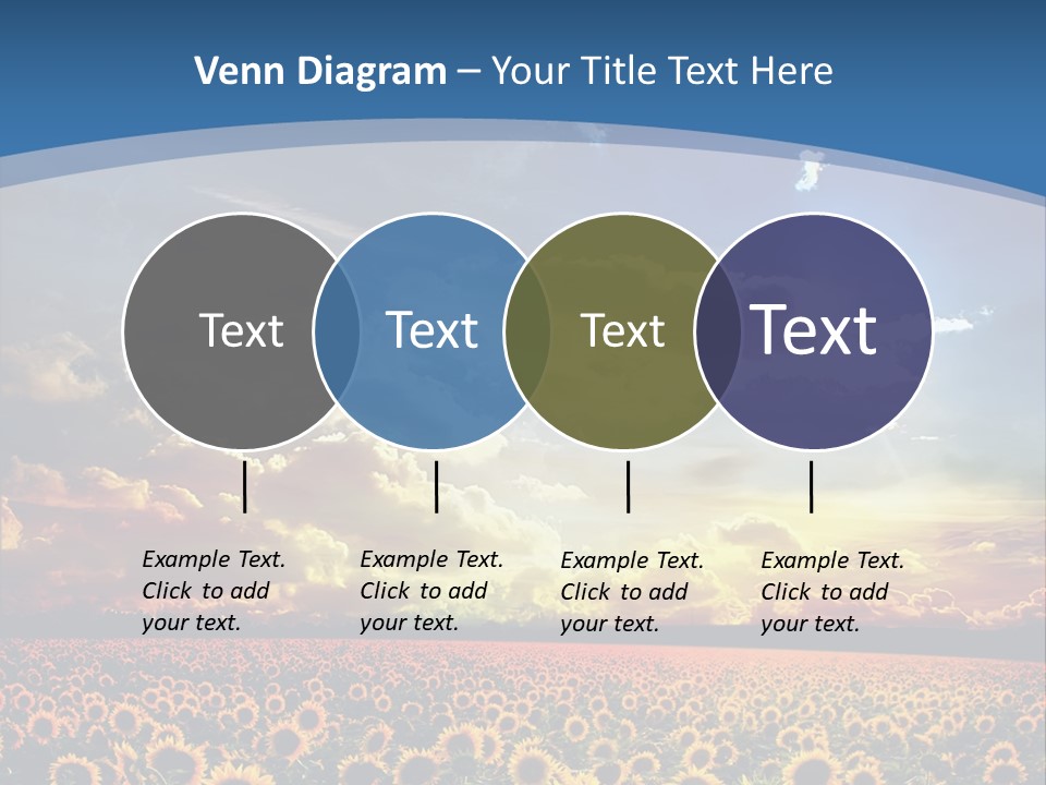 Sun Flowers PowerPoint Template