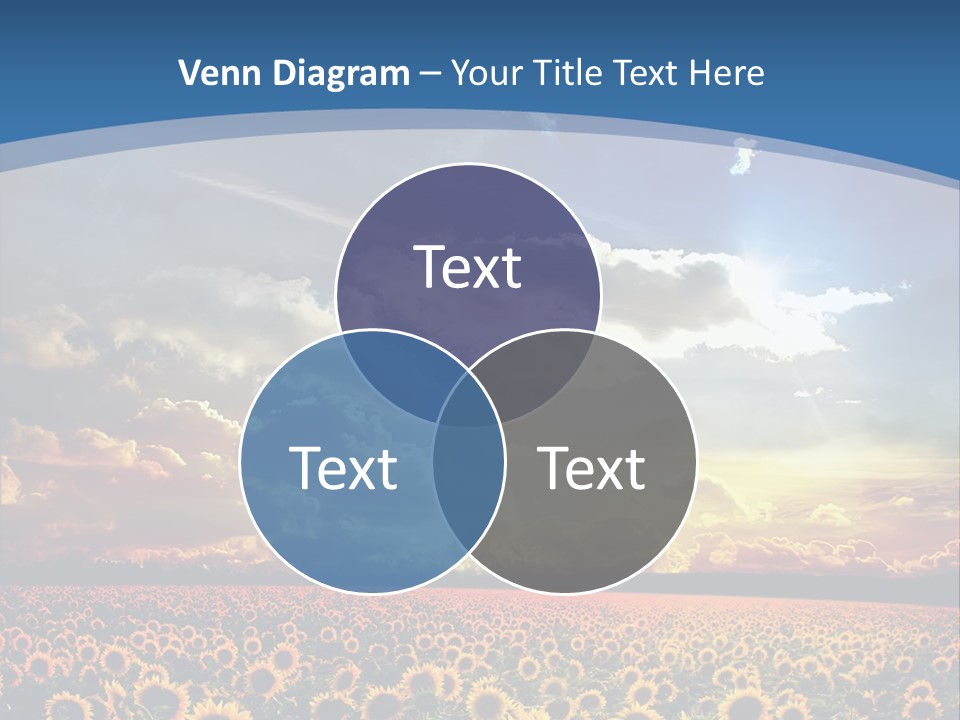 Sun Flowers PowerPoint Template