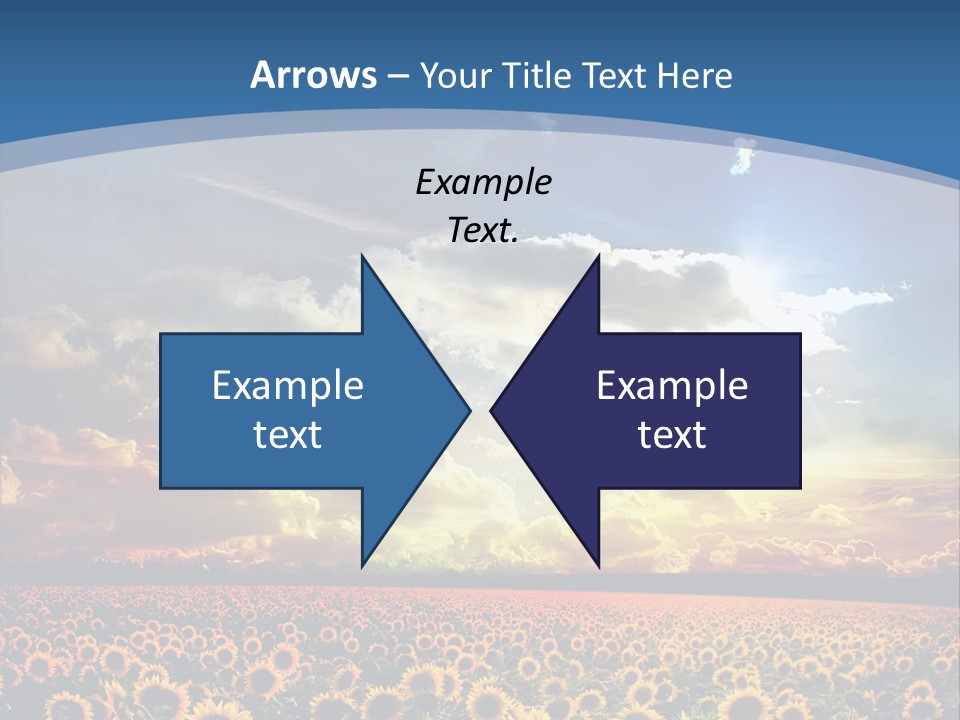 Sun Flowers PowerPoint Template