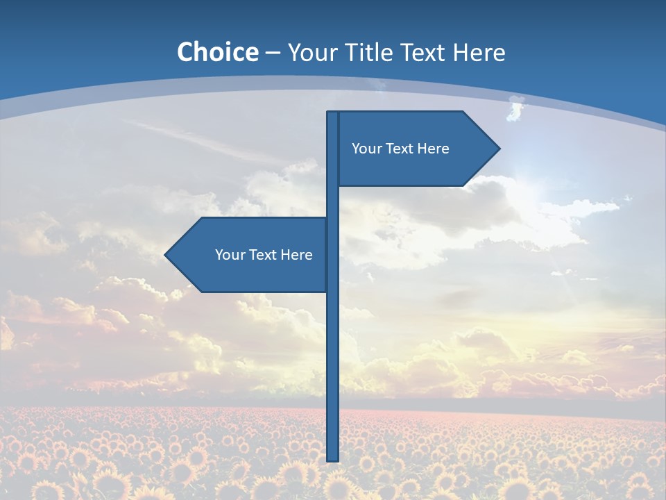 Sun Flowers PowerPoint Template