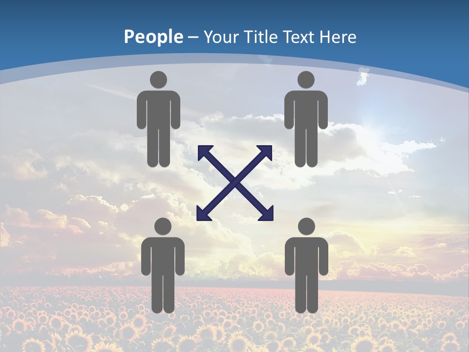 Sun Flowers PowerPoint Template