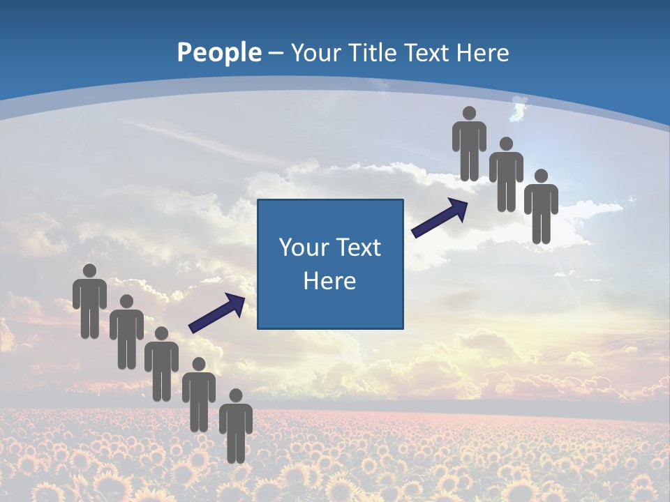 Sun Flowers PowerPoint Template