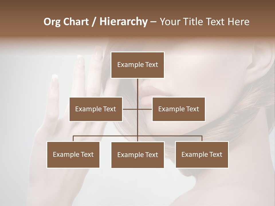 Hair Care L Oreal PowerPoint Template