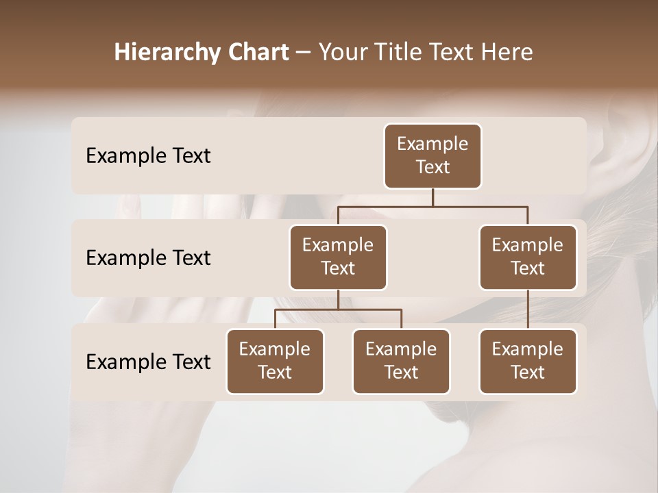 Hair Care L Oreal PowerPoint Template